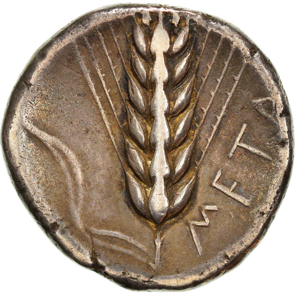 Coin, Lucania, Metapontion, Stater, 400-340 BC, Metapontion, EF(40-45), Silver
