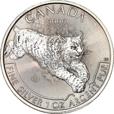 Coin, Canada, Lynx, 5 Dollars, 2017, Bullion, MS(65-70), Silver