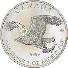 Münze, Kanada, Bald Eagle, 5 Dollars, 2014, 1 Oz, UNZ+, Silber