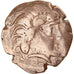 Moneda, Pictones, Stater, 2nd-1st century BC, Poitiers, BC+, Electro
