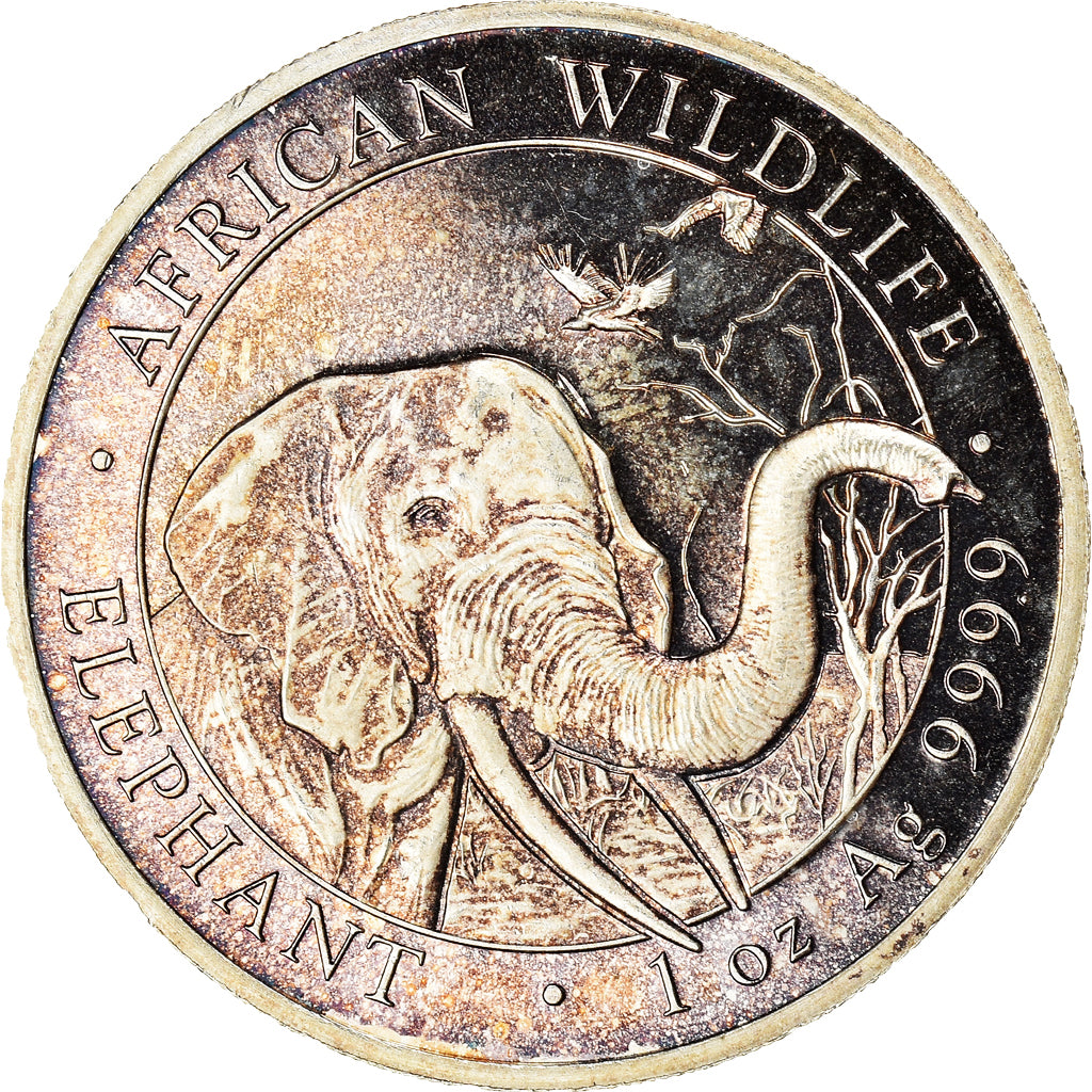 Coin, Somalia, Elephant, 100 Shillings, 2018, 1 Oz, MS(65-70), Silver