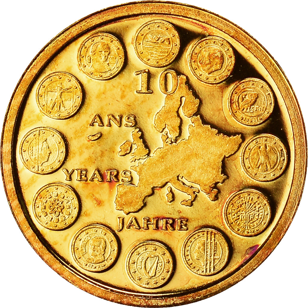 Francia, medaglia, 10 ans de l'Euro, 2009, FDC, Oro