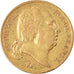 Moneta, Francja, Louis XVIII, 20 Francs, 1824, Paris, EF(40-45), Złoto