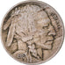 Monnaie, États-Unis, Buffalo Nickel, 5 Cents, 1916, U.S. Mint, Philadelphie
