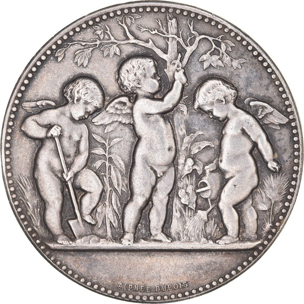 France, Medal, Dubois, AU(55-58), Silver