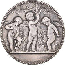 France, Medal, Dubois, AU(55-58), Silver