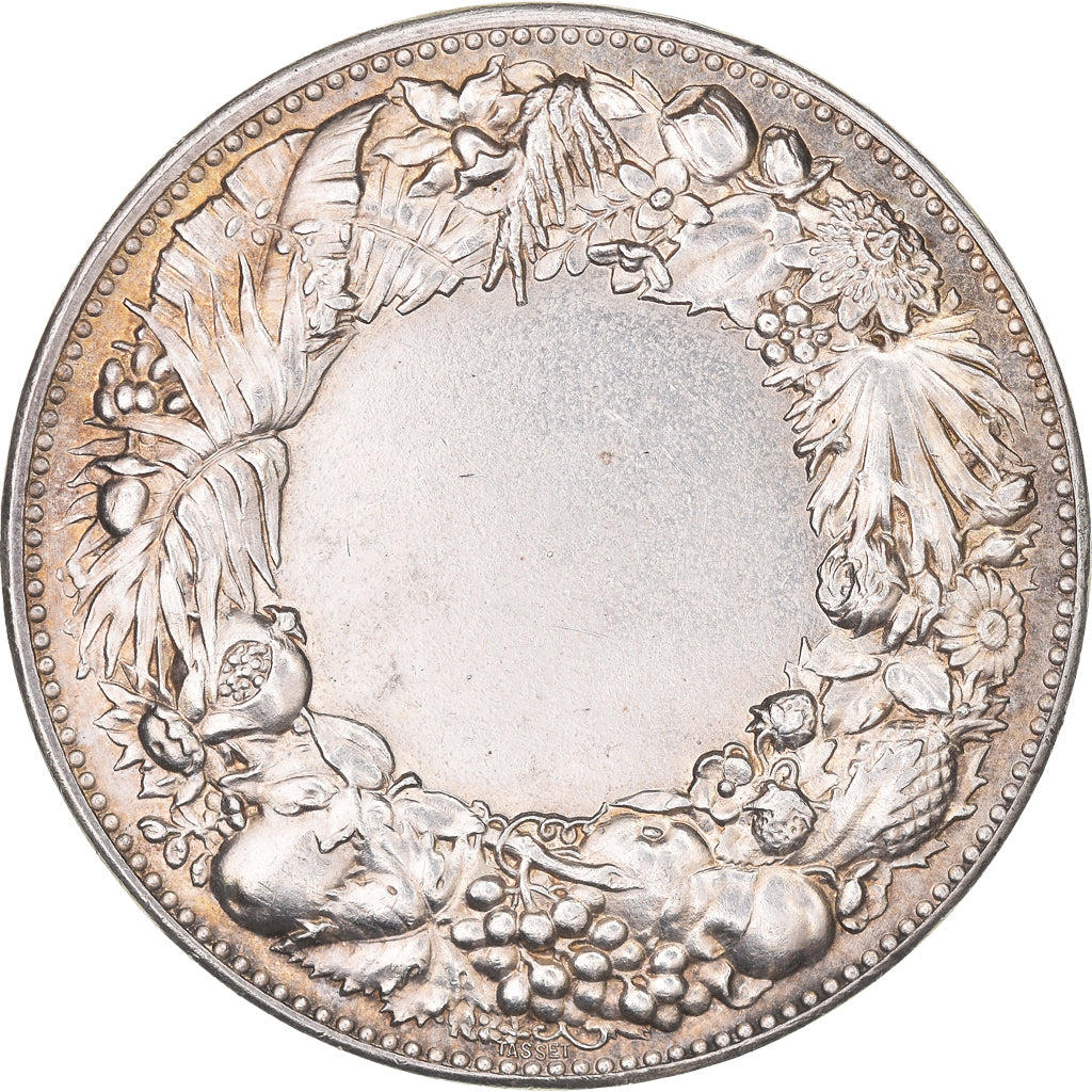 France, Medal, Dubois, AU(55-58), Silver