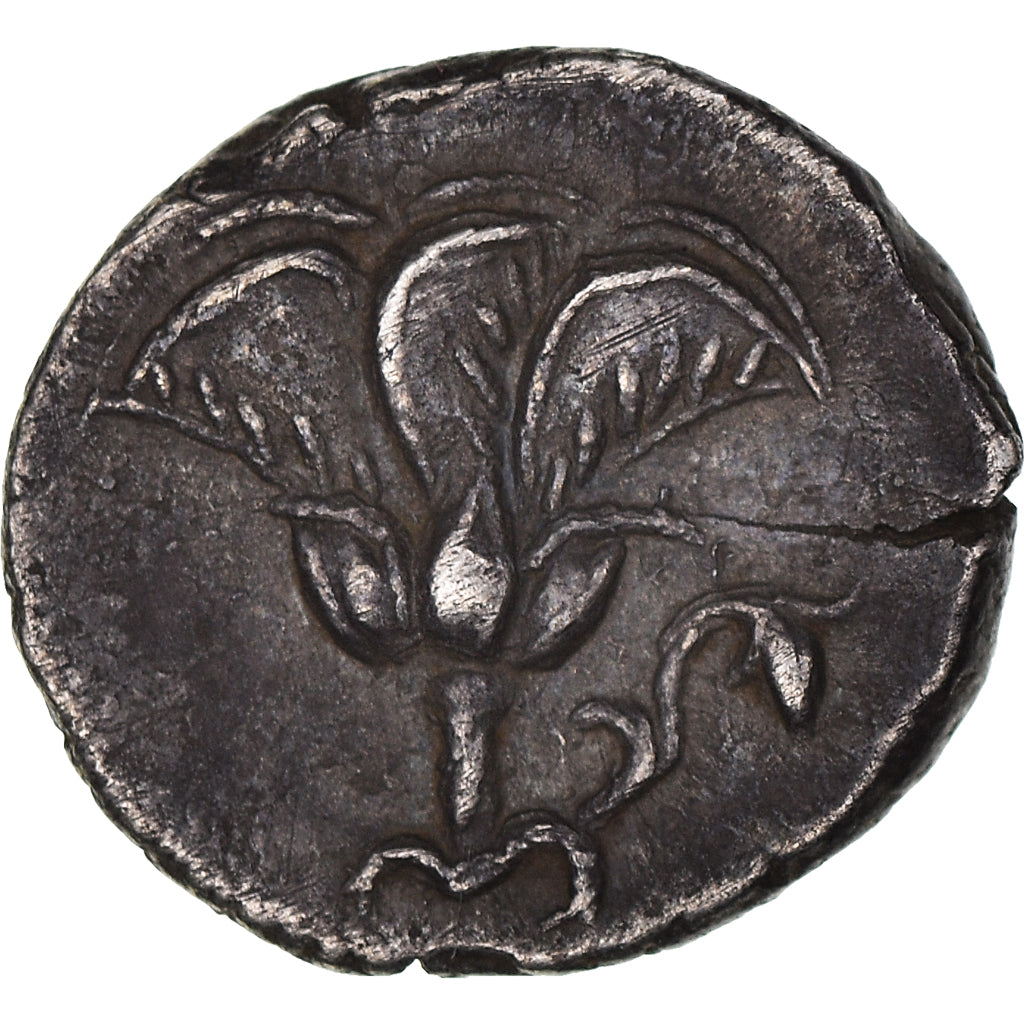 Coin, Caria, Rhodian Drachm, 175-160 BC, Mylasa, EF(40-45), Silver