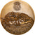 Portugal, Medaille, S. Jose de Bissau, Por una Guiné Melhor, 1973, Leonel