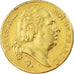 Coin, France, Louis XVIII, 20 Francs, 1818, Paris, EF(40-45), Gold, KM:712.1