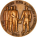Portugal, medalla, Rei D. Luiz, Ciudad da Covilha, Geography, 1970, EBC, Bronce