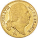 Moeda, França, Louis XVIII, 20 Francs, 1816, Paris, EF(40-45), Dourado