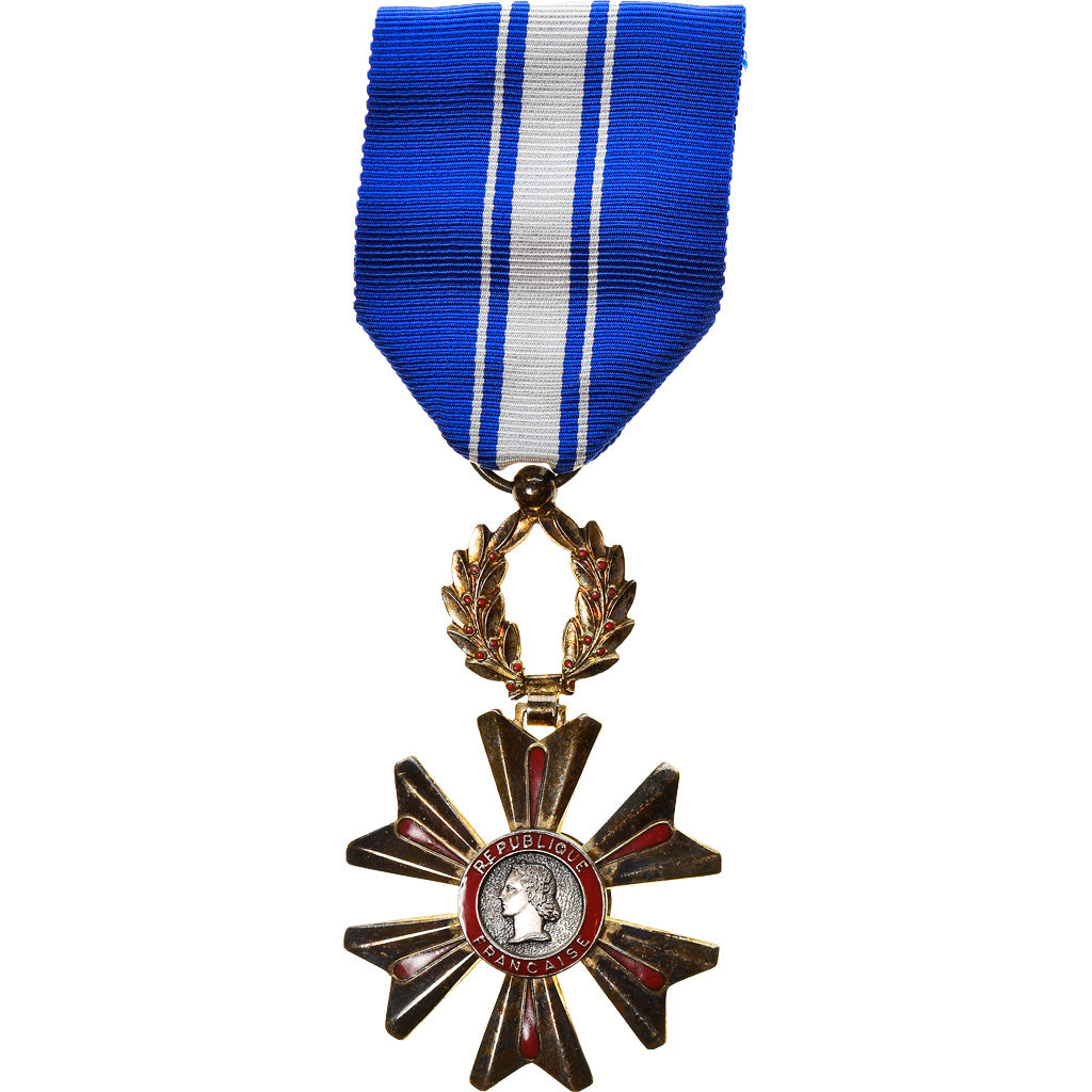 France, Mérite du sang, Medal, Excellent Quality, Silvered bronze, 39