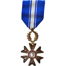 France, Mérite du sang, Medal, Excellent Quality, Silvered bronze, 39
