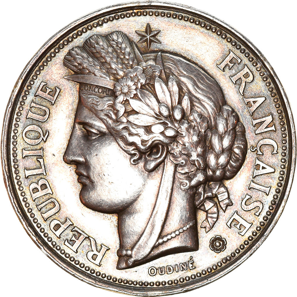 France, Medal, Comice agricole de Bergues, Lagrange, AU(50-53), Silver