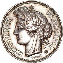 France, Medal, Comice agricole de Bergues, Lagrange, AU(50-53), Silver