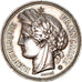 France, Medal, Comice agricole de Bergues, Lagrange, AU(50-53), Silver