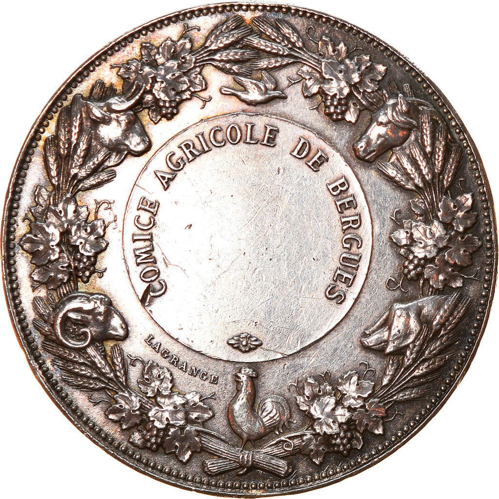 France, Medal, Comice agricole de Bergues, Lagrange, AU(50-53), Silver