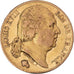 Münze, Frankreich, Louis XVIII, 20 Francs, 1824, Paris, S+, Gold, KM:712.1