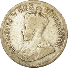 Moneta, Sudafrica, George V, Shilling, 1923, MB, Argento, KM:17.1