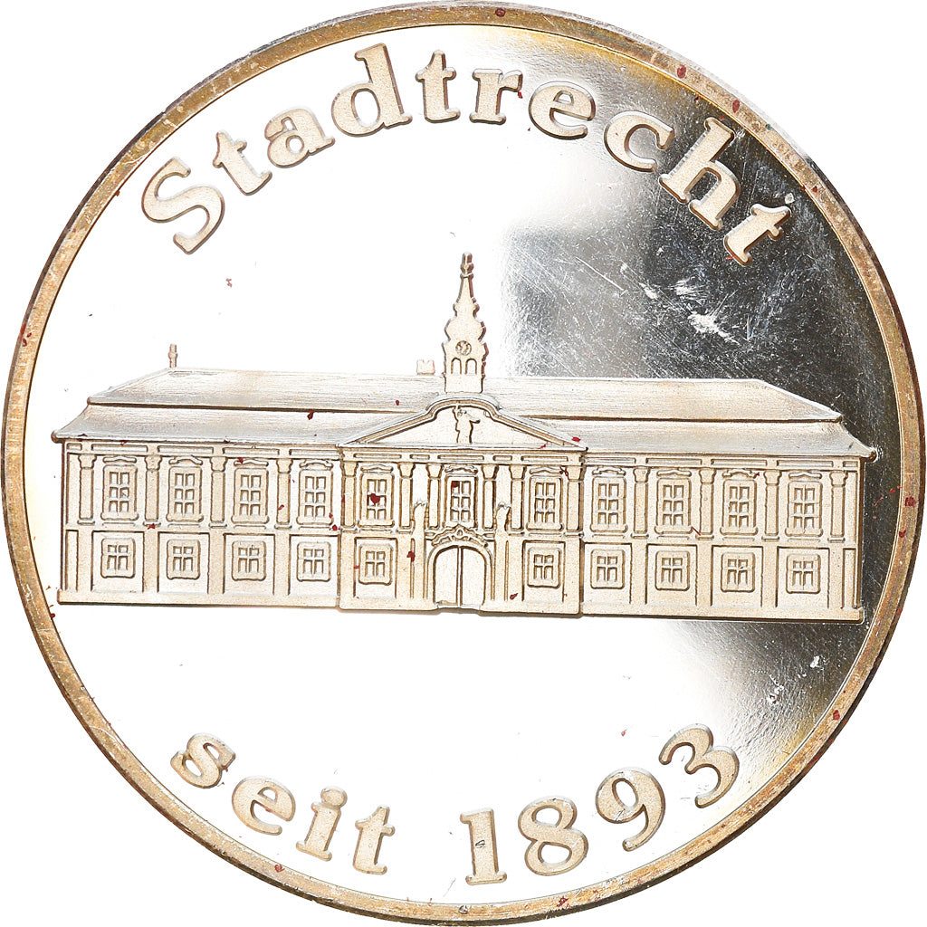 Allemagne, Médaille, 100 Jahre, Stadt Stockerau, Geography, 1993, SUP, Argent
