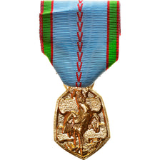 Francja, Libération de la France, Medal, 1939-1945, Doskonała jakość, Simon