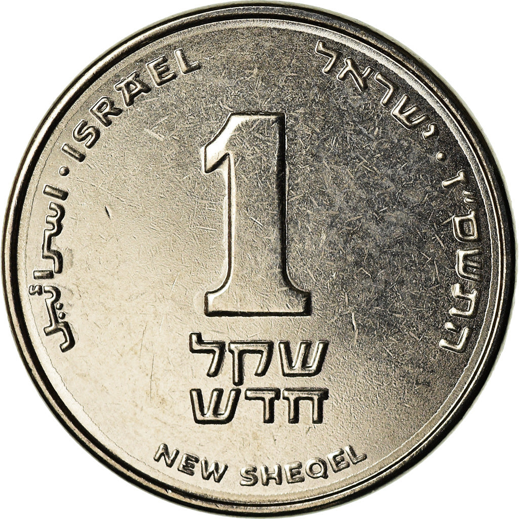 Coin, Israel, New Sheqel, 2007, MS(64), Nickel plated steel, KM:160a