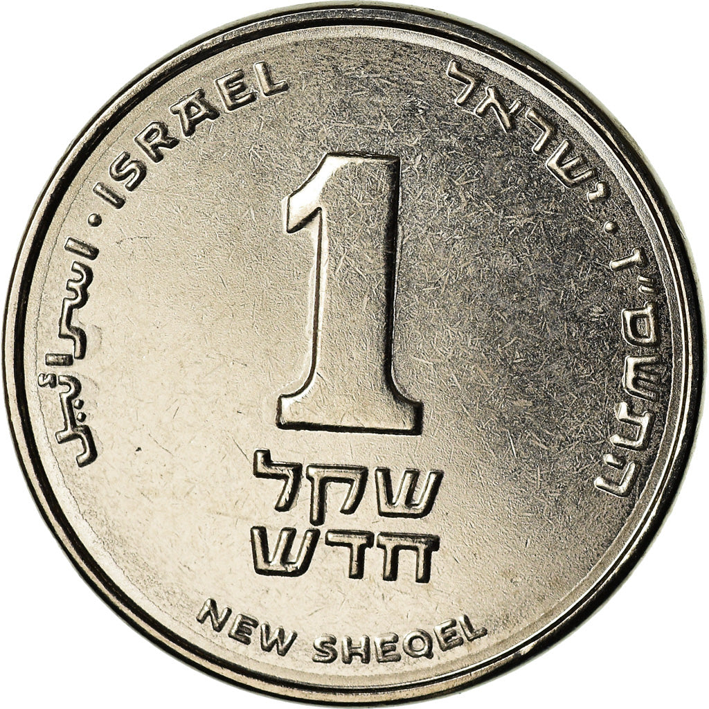 Coin, Israel, New Sheqel, 2007, MS(60-62), Nickel plated steel, KM:160a