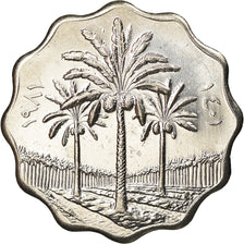 Monnaie, Iraq, 5 Fils, 1981, SPL+, Stainless Steel, KM:125a