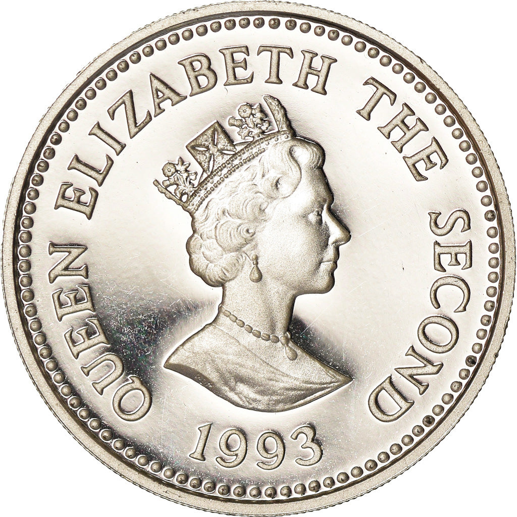 Moneta, Alderney, Elizabeth II, Pound, 1993, Heaton, Proof, SPL+, Argento, KM:4