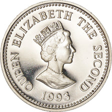 Moneta, Alderney, Elizabeth II, Pound, 1993, Heaton, Proof, SPL+, Argento, KM:4