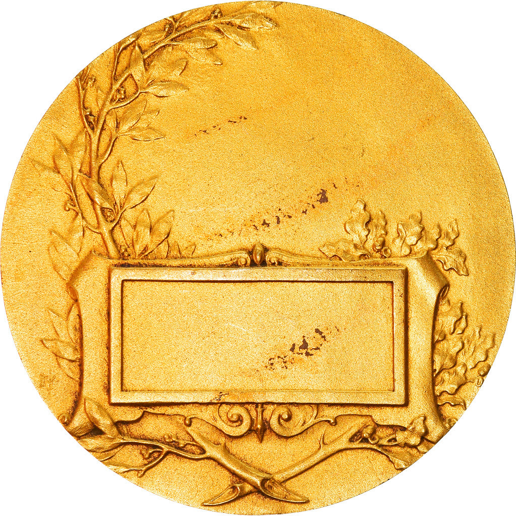 Frankrijk, Medaille, Art Nouveau, Femme Assise, Baudichon, PR, Gilt Bronze