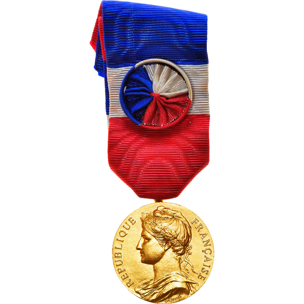 France, Ministère du Travail et de la Sécurité Sociale, Medal, 1964