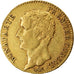Münze, Frankreich, Napoléon I, 20 Francs, An 12, Paris, SS+, Gold, KM:651