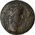 Moeda, Augustus, Quadrans, Imitação gaulesa, EF(40-45), Bronze, RIC:227