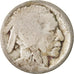 Coin, United States, Buffalo Nickel, 5 Cents, Uncertain date, U.S. Mint