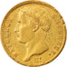 Moeda, França, Napoléon I, 20 Francs, 1808, Paris, AU(50-53), Dourado