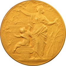 Francia, medalla, société des artistes français, Arts & Culture, 1904, Daniel
