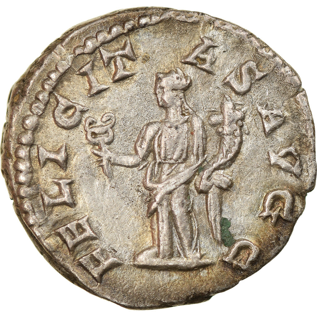 Moneta, Septimius Severus, Denarius, 205, Roma, SPL-, Argento, RIC:261