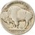 Monnaie, États-Unis, Buffalo Nickel, 5 Cents, Date incertaine, U.S. Mint
