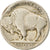 Moneta, Stati Uniti, Buffalo Nickel, 5 Cents, Uncertain date, U.S. Mint