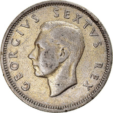 Coin, South Africa, George VI, Shilling, 1951, EF(40-45), Silver, KM:37.2