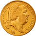 Münze, Frankreich, Louis XVIII, Louis XVIII, 20 Francs, 1820, Paris, SS, Gold