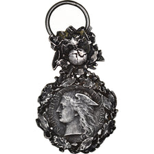 France, Direction Générale des Douanes, Honneur et Dévouement, Médaille