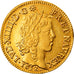 Monnaie, France, Louis XIV, Louis d'or à la mèche longue, Louis d'Or, 1652