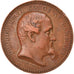 Denmark, Medal, Frederik VII, For Deeltagelse I Kriegen, 1848-1850, Dubois.A