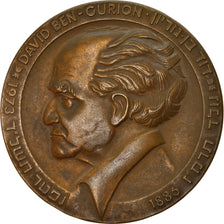 Israel, Medal, David Ben-Gurion, 1973, AU(55-58), Bronze