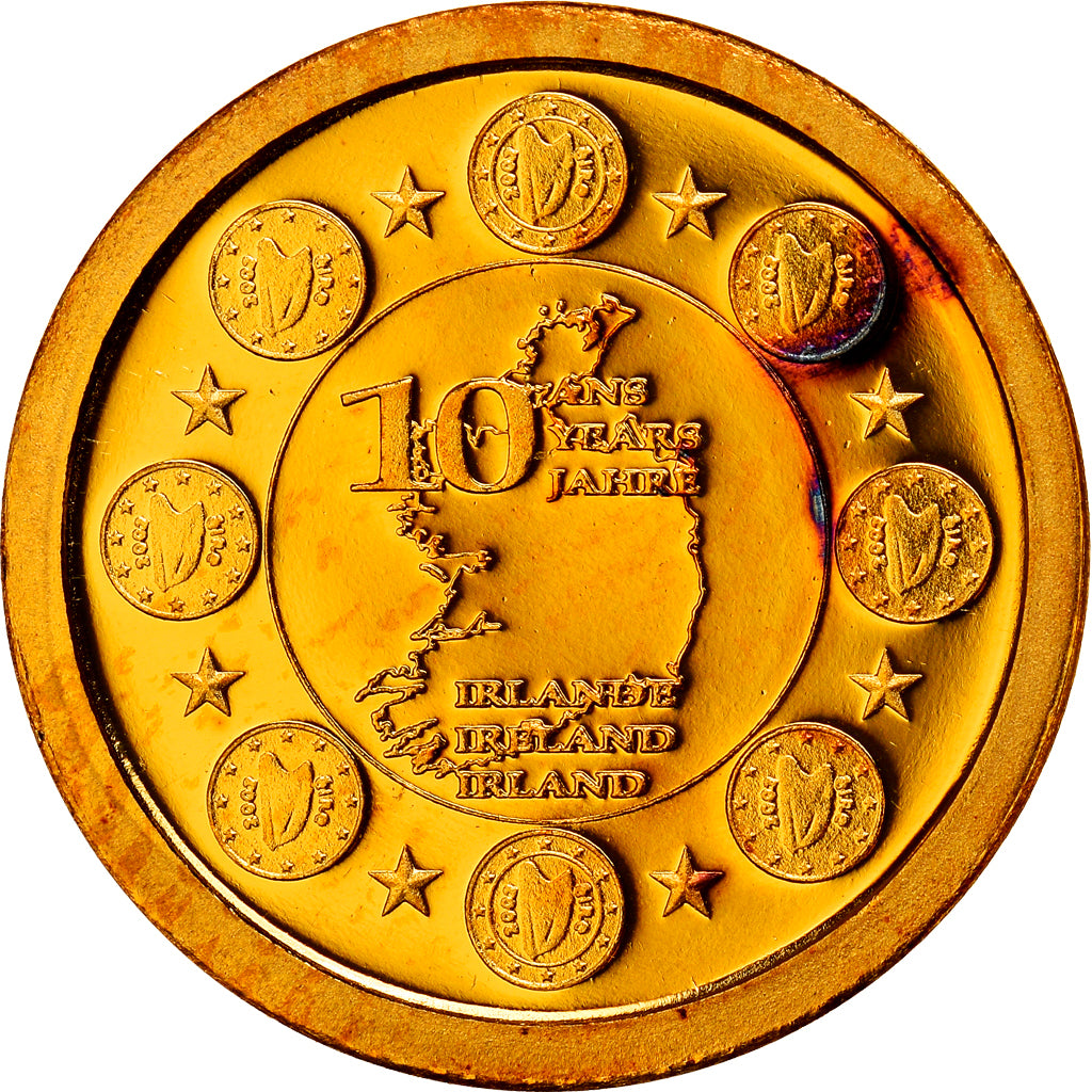Irlanda, medaglia, 10 ans de l'Euro, 2009, FDC, Oro