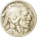 Moneta, Stati Uniti, Buffalo Nickel, 5 Cents, 1923, U.S. Mint, Philadelphia, MB