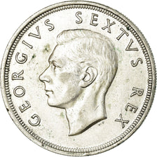 Coin, South Africa, George VI, 5 Shillings, 1952, EF(40-45), Silver, KM:41